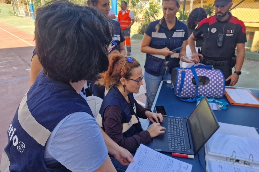 Así ha sido el simulacro de emergencia volcánica en el que han participado los veterinarios de Tenerife