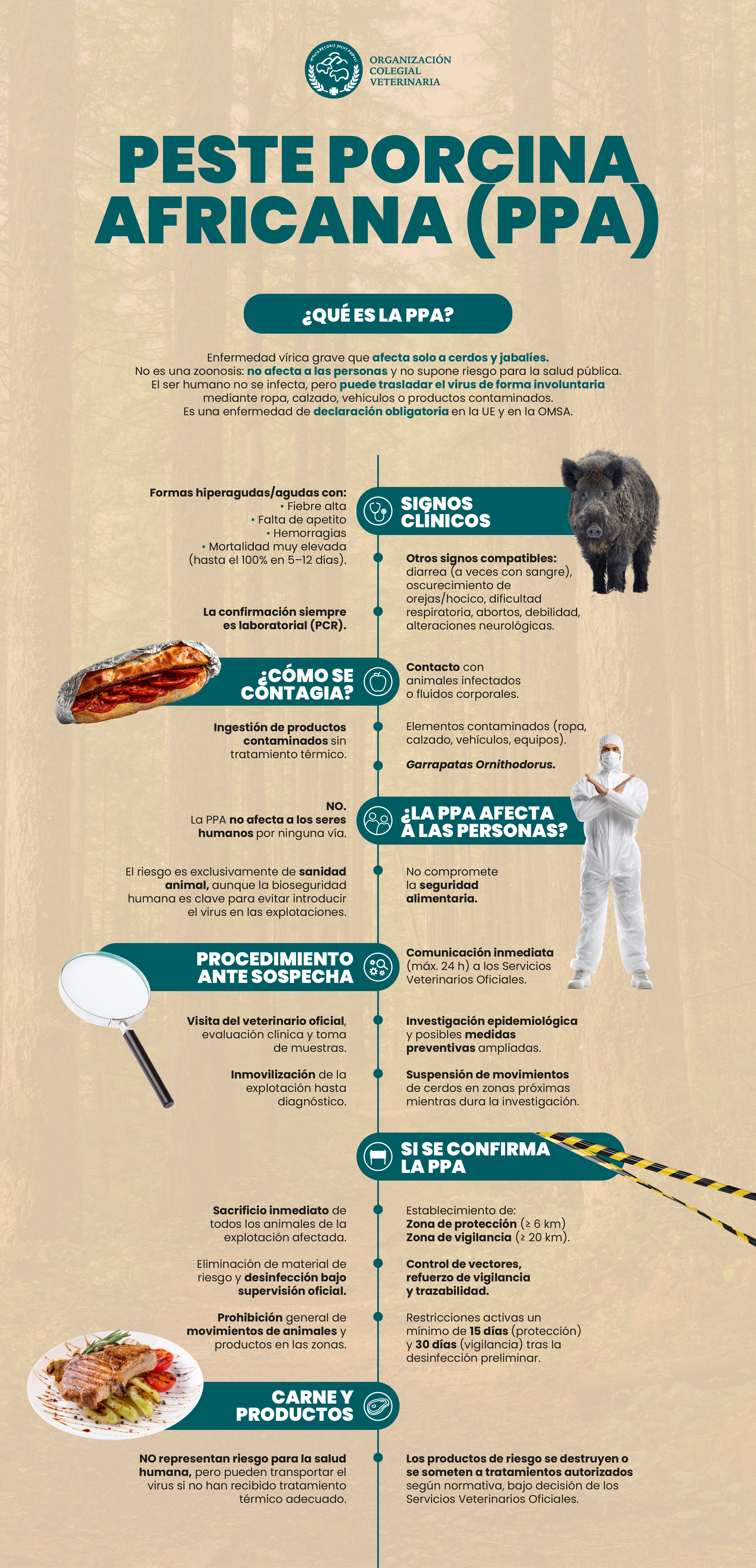 Nota actualización situación PPA