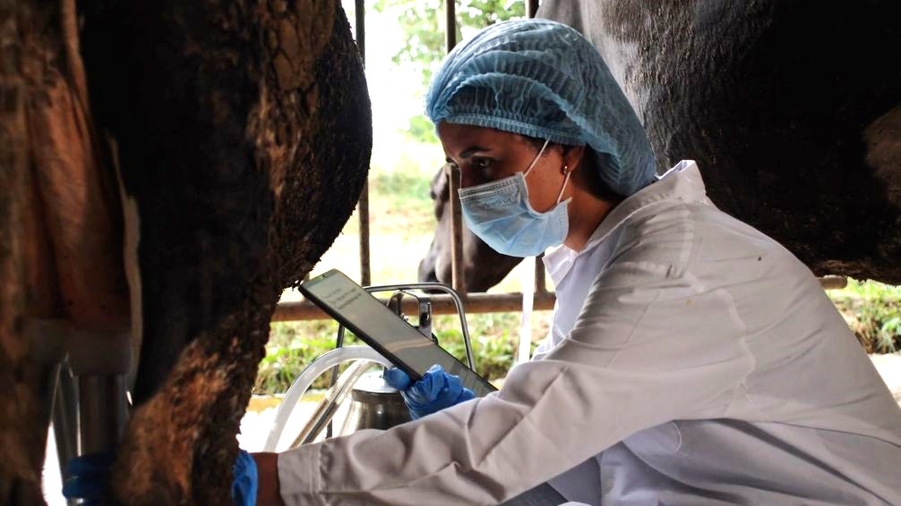 El video de la OCV con motivo del Día Mundial de la Veterinaria resalta que la profesión “protege vidas”