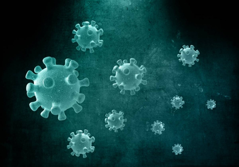 Brote de hantavirus: Los veterinarios españoles piden diferenciar "entre riesgo percibido y riesgo real”