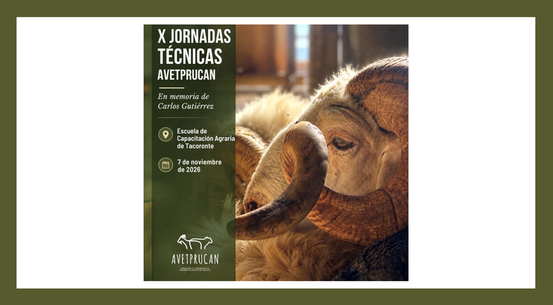 X Jornadas Técnicas AVETPRUCAN