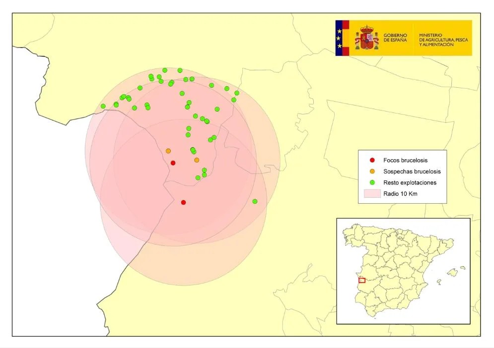 Focos de brucelosis Bovina en Granjas de Ganado Vacuno en Extremadura