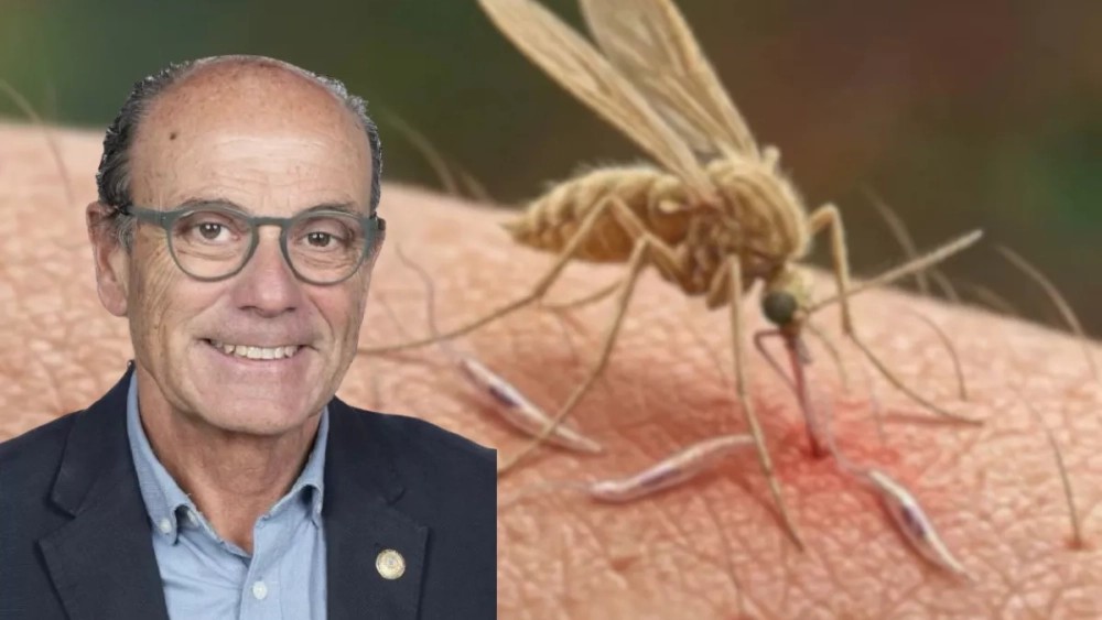 Alberto Montoya, científico que ha descubierto lehismaniosis autóctona en Canarias: "Hay vacunas, pero habrá que ir pidiendo remesas y ver en qué zonas hay más riesgo"